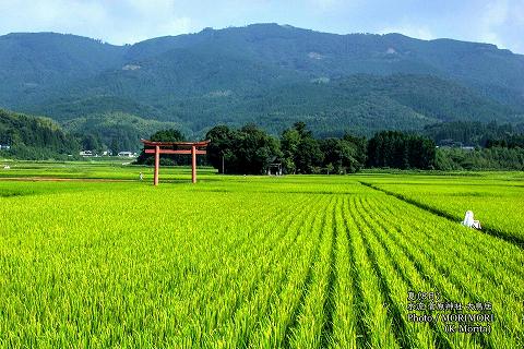 水流菅原神社の大鳥居（夏）