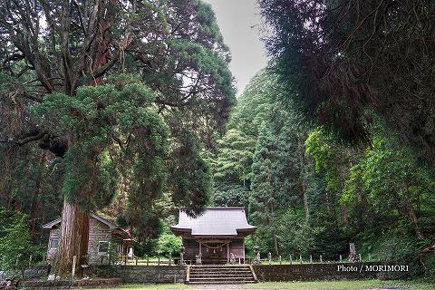 古戸野神社