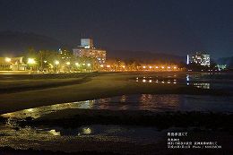 弥生橋より青島海岸の夜景 1401aj_66.jpg