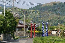 ■ 九社神社鳥居18_jinjya_01.jpg