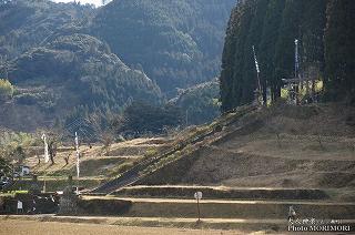 岩井川神社　下部石段横より