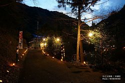 ■ 神社への参道 nakanomata_005.jpg