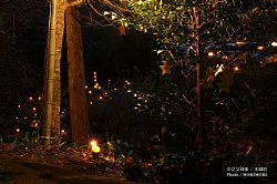 ■ 川には蛍に見立てた灯り nakanomata_007.jpg