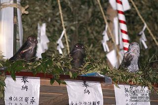 銀鏡神楽　祭壇のシシ　07　