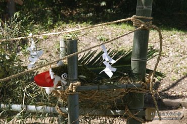 村角高屋神社神楽　神庭の様子等　0008.jpg