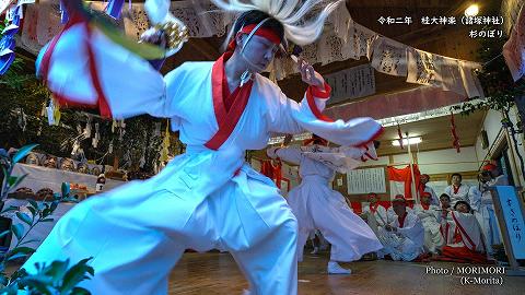 桂大神楽 杉のぼり