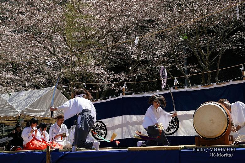 地割(入刀)〔歌糸〕 三川内神楽まつりにて