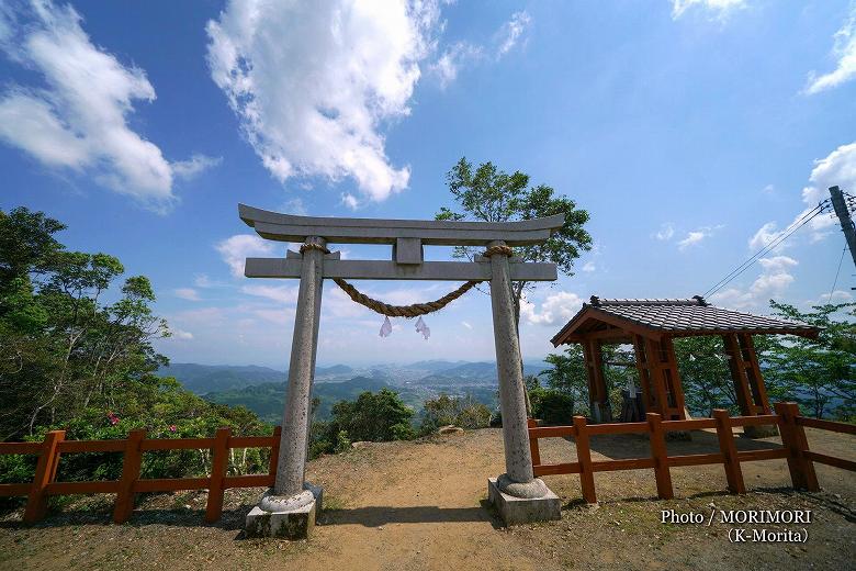 拝殿前からの鳥居越しの日南の景色