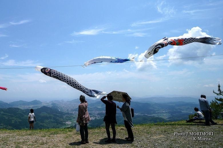 こいのぼりも泳ぐ境内からの眺めは絶景