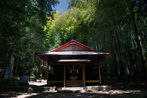 尾八重神社