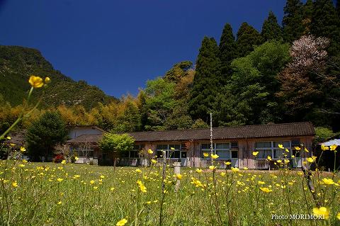 尾八重小中学校跡