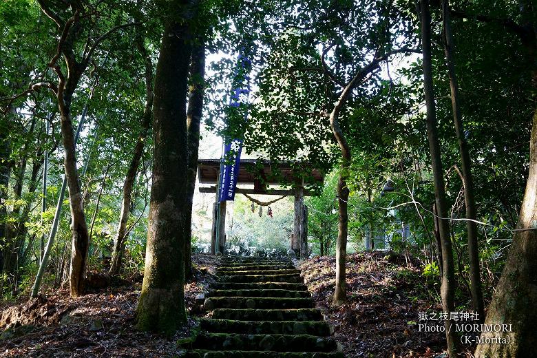 参道石段を登ったところにある鳥居