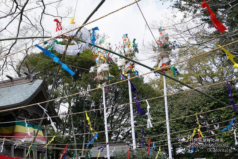 祭場 クモなど