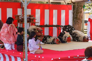 獅子舞　(田元神社　祈年祭（春まつり）にて)