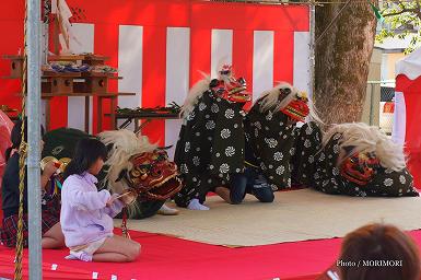 獅子舞　(田元神社　祈年祭（春まつり）にて)