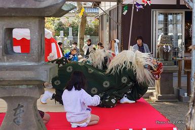 獅子舞　(田元神社　祈年祭（春まつり）にて)