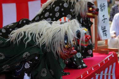 獅子舞　(田元神社　祈年祭（春まつり）にて)