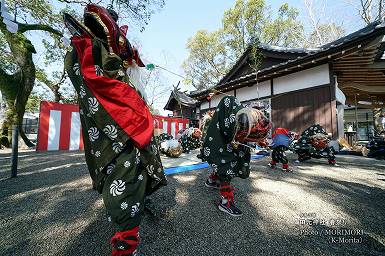 本郷 獅子舞