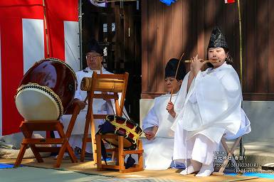 「倭の大蛇」「八岐大蛇（やまたのおろち）」