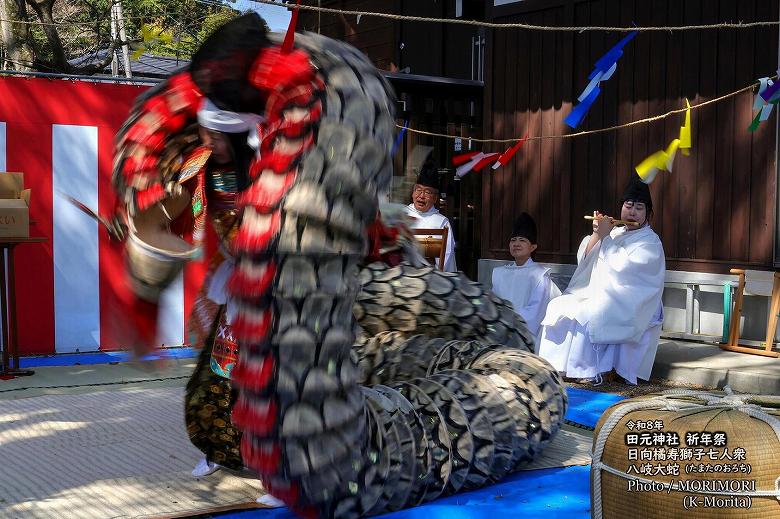 八岐大蛇(やまたのおろち)　日向橘寿獅子七人衆