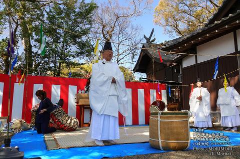 八岐大蛇(やまたのおろち)　日向橘寿獅子七人衆