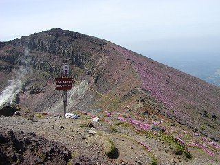 高千穂峰登山　御鉢　右の斜面はミヤマキリシマで一面ピンク色