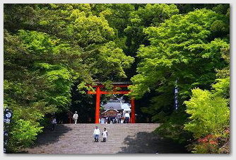 霧島神宮の新緑 2009-01 霧島神宮の新緑 2009-01