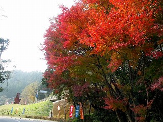 山之口青井岳温泉で撮影した紅葉−