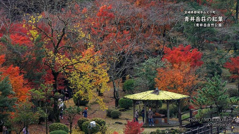 青井岳温泉 青井岳荘（青井岳自然公園）の紅葉