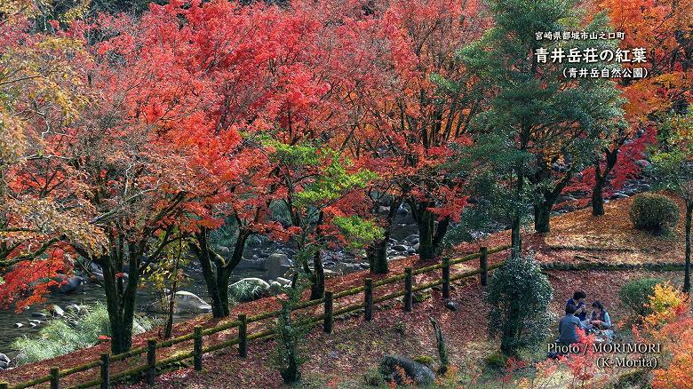 青井岳温泉 青井岳荘（青井岳自然公園）の紅葉