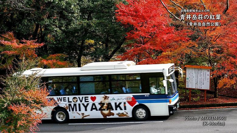 2020年　山之口町　青井岳荘の紅葉