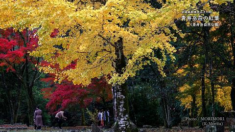 青井岳温泉 青井岳荘（青井岳自然公園）の紅葉