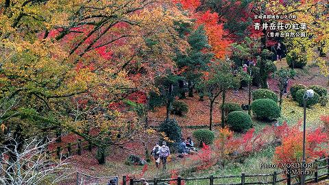 青井岳温泉 青井岳荘（青井岳自然公園）の紅葉