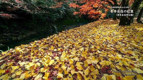 青井岳温泉 青井岳荘（青井岳自然公園）の紅葉