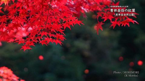 2020年　山之口町　青井岳荘の紅葉