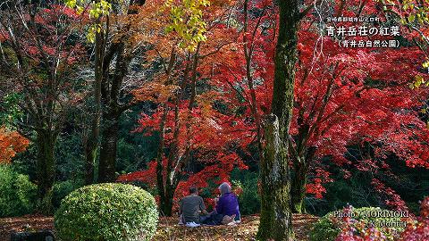 2020年　山之口町　青井岳荘の紅葉