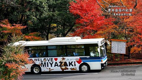 2020年　山之口町　青井岳荘の紅葉