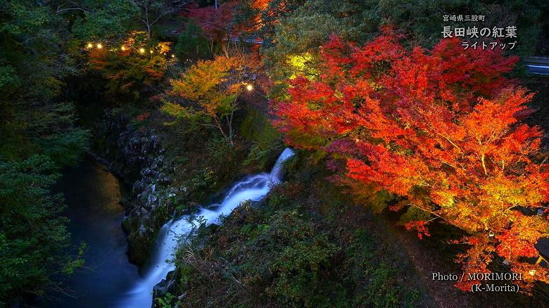 長田峡の紅葉ライトアップ