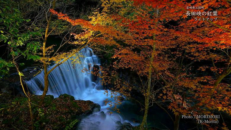 長田峡の紅葉ライトアップ