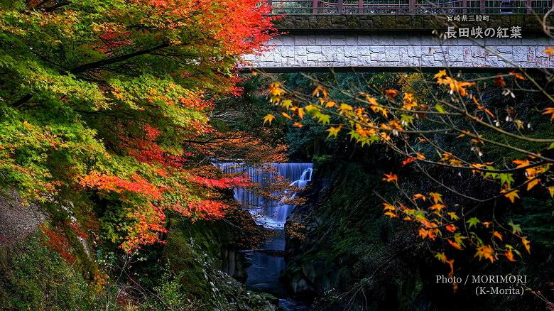 長田峡の紅葉