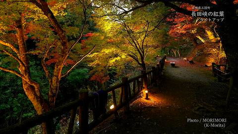 長田峡の紅葉ライトアップ