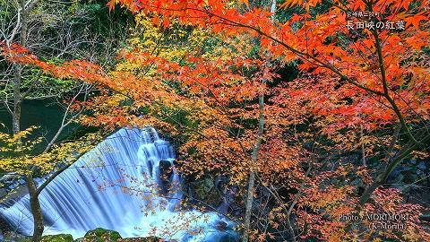 長田峡の紅葉