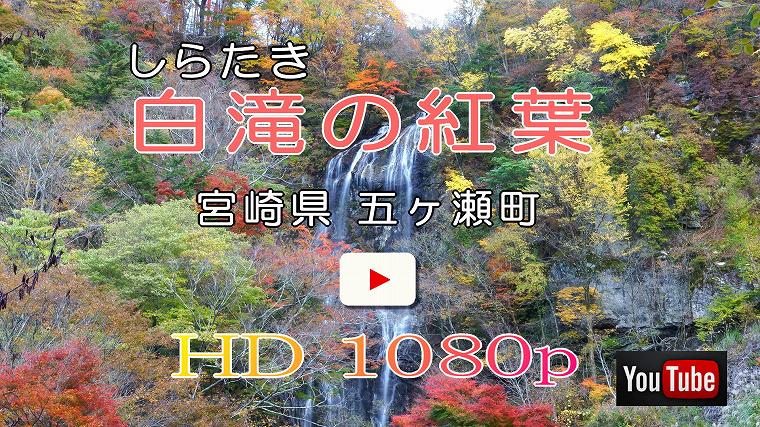 宮崎県五ヶ瀬町　白滝の紅葉の動画