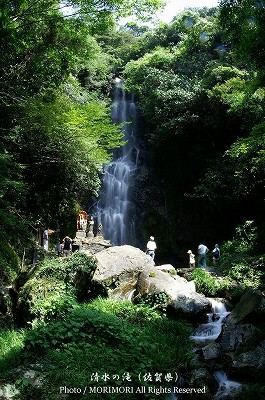 清水の滝　02　（佐賀県の滝）