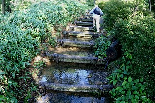 天山登山　佐賀県　雨で浸水した自然歩道