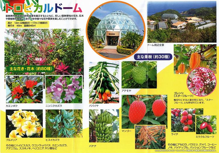 �{�茧�����_�Ǝ�����@���M�э앨�x��@�g���s�J���h�[���@�L�p�A���������p�ē��@�p���t���b�g�i���[�t���b�g�j�@4