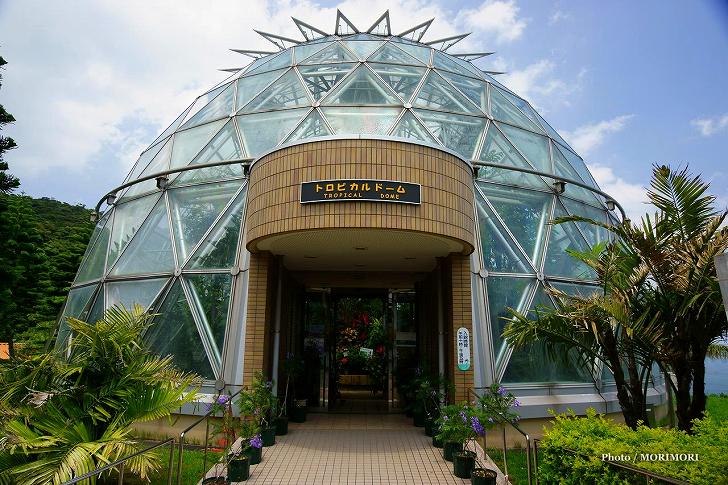 �{�茧�����_�Ǝ�����@���M�э앨�x��@�g���s�J���h�[���@01