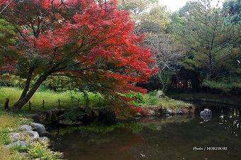 神池と紅葉　