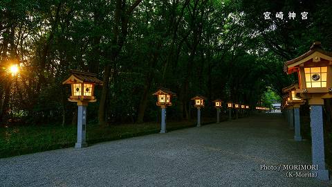燈籠の並ぶ宮崎神宮参道