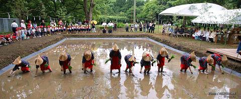 宮崎神宮 御田植祭（おたうえさい）